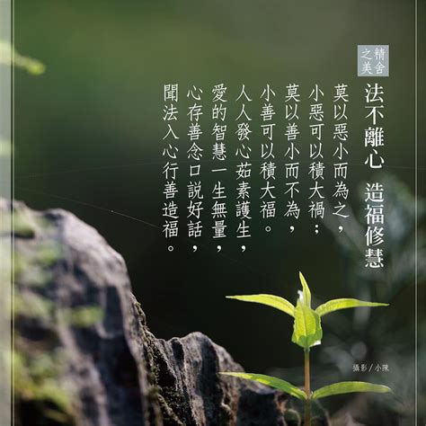 莫以善小而不為 莫以惡小而為之|勿以惡小而為之，勿以善小而不為:釋義,原文,典故,